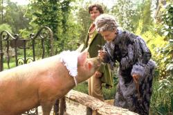 A pig, Colin Firth and Angela Lansbury in Nanny McPhee. A pig, Colin Firth and Angela Lansbury in Nanny McPhee.