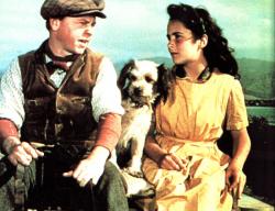 Mickey Rooney and Elizabeth Taylor in National Velvet.