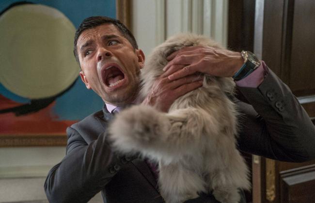 Mark Consuelos getting attacked by Mr. Fuzzypants in Nine Lives