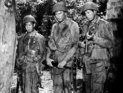 Frank Tang, Errol Flynn, and William Prince in Objective, Burma!.