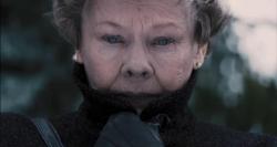 Judi Dench in Philomena. Judi Dench in Philomena.
