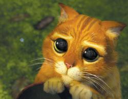 Puss in Boots giving Sad Eyes. Puss in Boots giving Sad Eyes.