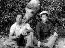 Bob Hope, Bing Crosby and a Camel on the Road to Morocco.