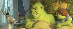 Donkey, Shrek and Fiona in Shrek Forever After. Donkey, Shrek and Fiona in Shrek Forever After.