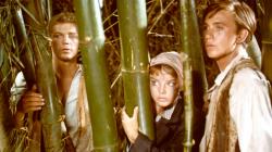 James MacArthur, Janet Munro and Tommy Kirk in Swiss Family Robinson James MacArthur, Janet Munro and Tommy Kirk in Swiss Family Robinson