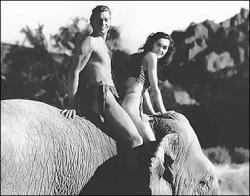 Johnny Weissmuller and Maureen O'Sullivan in Tarzan and his mate.