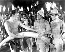 Johnny Weissmuller, Maureen O'Sullivan, Paul Cavanagh, Neil Hamilton and a large elephant tusk in Tarzan and His Mate.