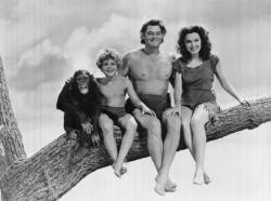 Cheetah, Johnny Sheffield, Johnny Weissmuller and Maureen O'Sullivan pose for a family portrait.