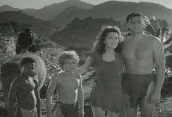 Cheetah, Tumbo, Boy, Jane and Tarzan make one big happy family in Tarzan's Secret Treasure.