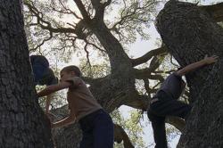 Childhood innocence as depicted in Terrence Malick's The Tree of Life.