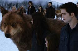 Kristen Stewart and Robert Pattinson in The Twilight Saga: Breaking Dawn - Part 2.