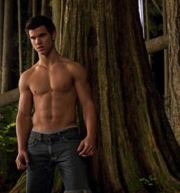 Taylor Lautner, showing the people what they came to see in Twilight: Eclipse.