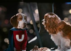 Jason Lee provides the voice of the super dog in Underdog. Jason Lee provides the voice of the super dog in Underdog.