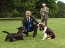 Bush spent time with his dogs, but not his daughters.