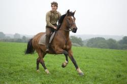 Jeremy Irvine, as Albert, rides Joey in War Horse.