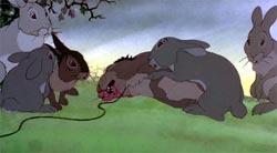 The animation is simple yet graphically realistic. The animation is simple yet graphically realistic.
