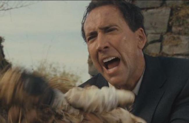 Nicolas Cage really wants to know how it got burned in The Wicker Man.