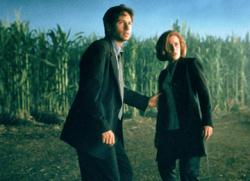 David Duchovny and Gillian Anderson in X-Files: Fight the Future. David Duchovny and Gillian Anderson in X-Files: Fight the Future.