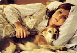 Molly Shannon and Pencil the Beagle, whose death sets the story in motion.