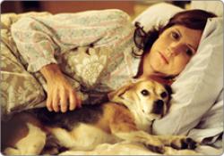 Molly Shannon and Pencil the Beagle, whose death sets the story in motion. Molly Shannon and Pencil the Beagle, whose death sets the story in motion.